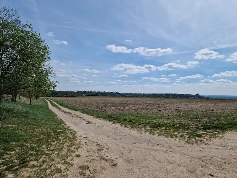 Prodej sadu, vinice 34927 m², Liběchov – náhled fotky 2