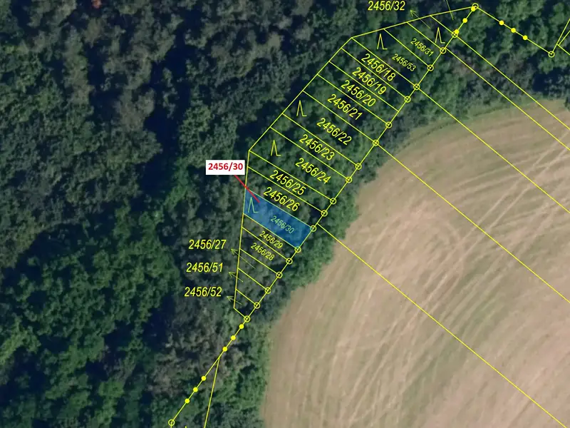 Dražba lesa 56 m², Oslavany – náhled fotky 2