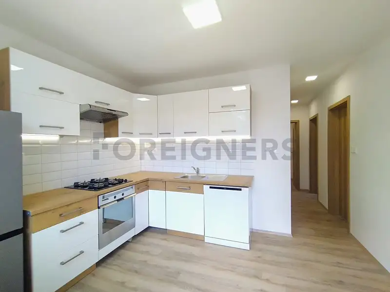 Pronájem bytu 2+1 52 m², Brno – náhled fotky 1
