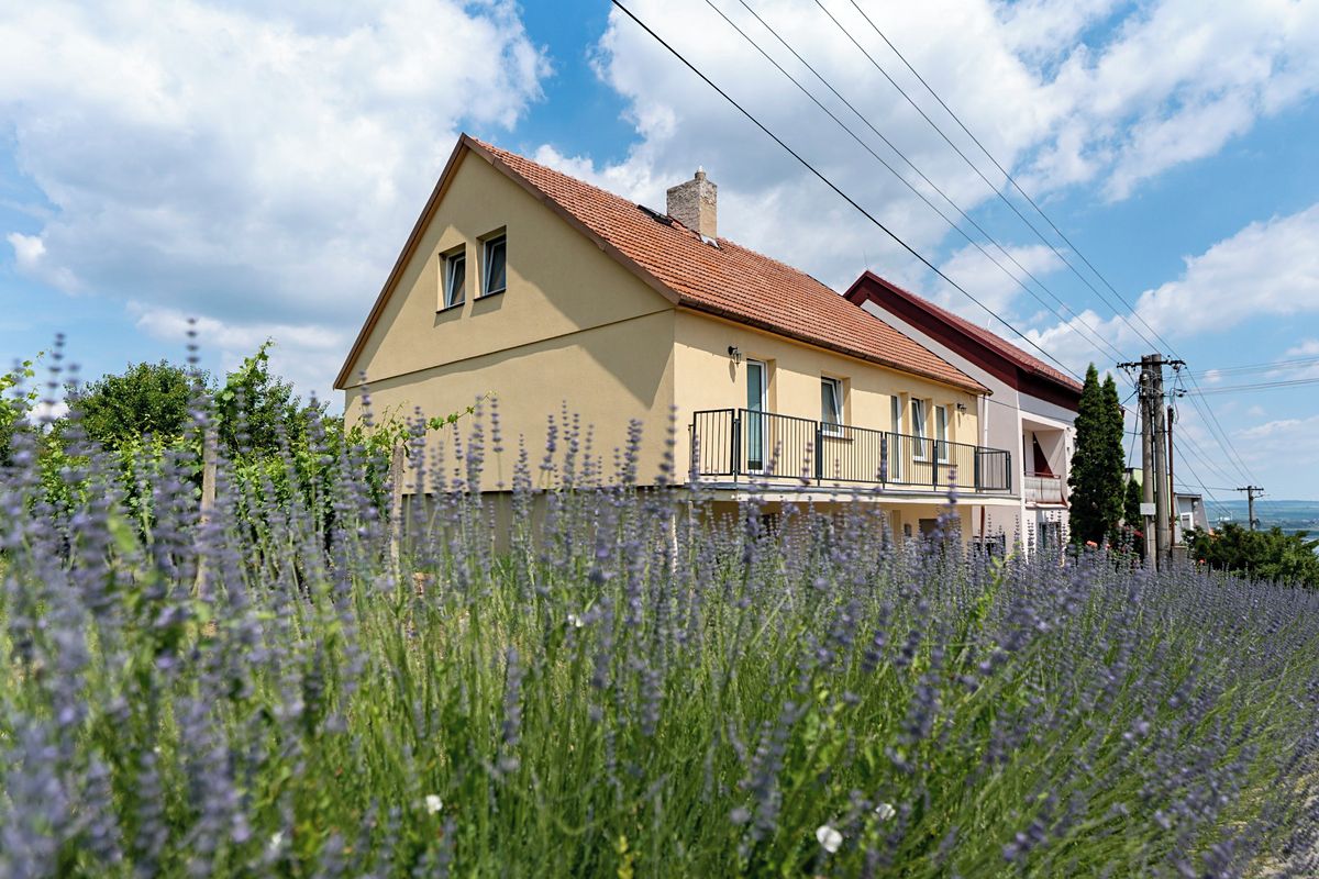 Prodej rodinného domu 265 m², pozemek 698 m², Pavlov – fotka 1 z 3