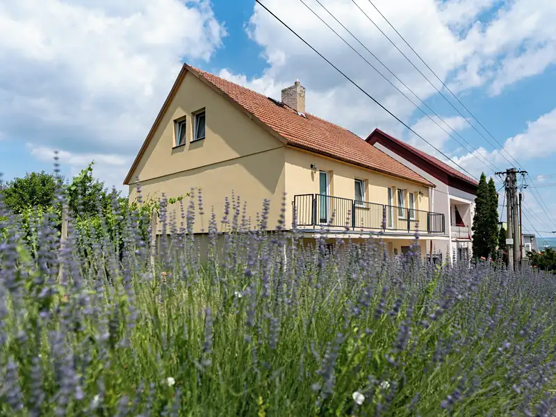 Prodej rodinného domu 265 m², pozemek 698 m², Pavlov – náhled fotky 1