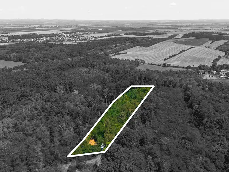 Prodej lesa 2859 m², Jeviněves – náhled fotky 3