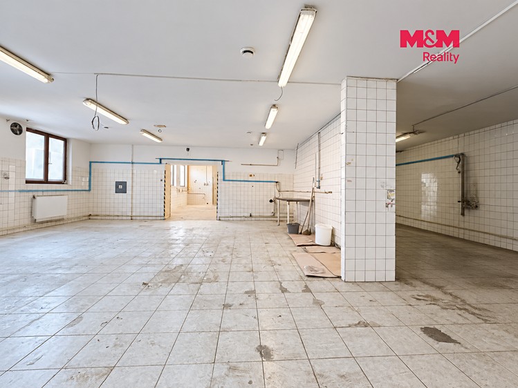 Gewerbefläche zur Miete, 235 m² (2 von 12)