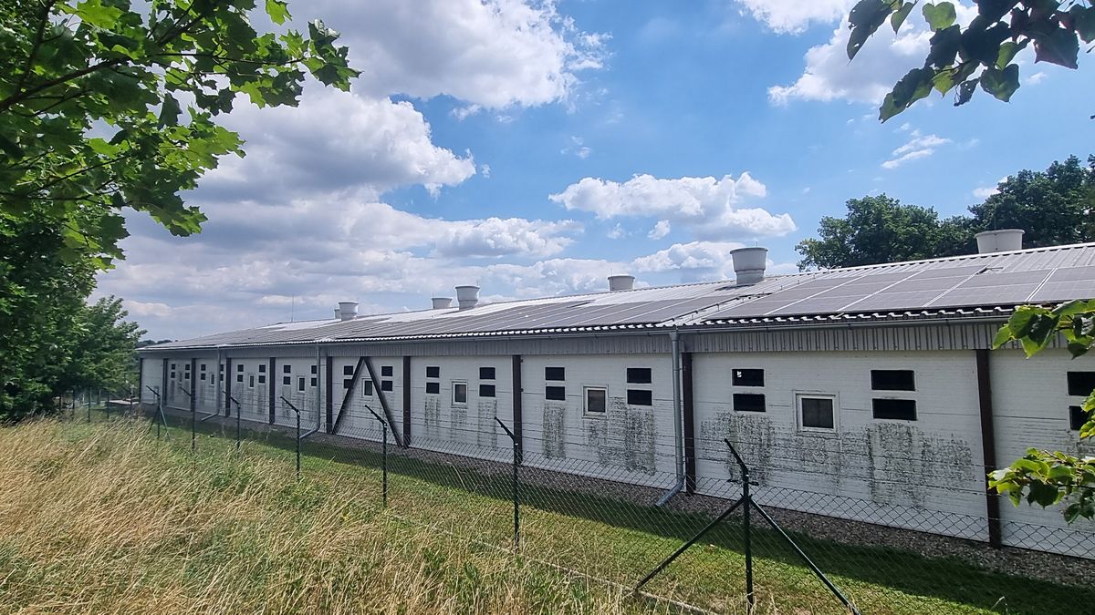 Prodej výrobní haly, prostoru 15000 m² – fotografie 5