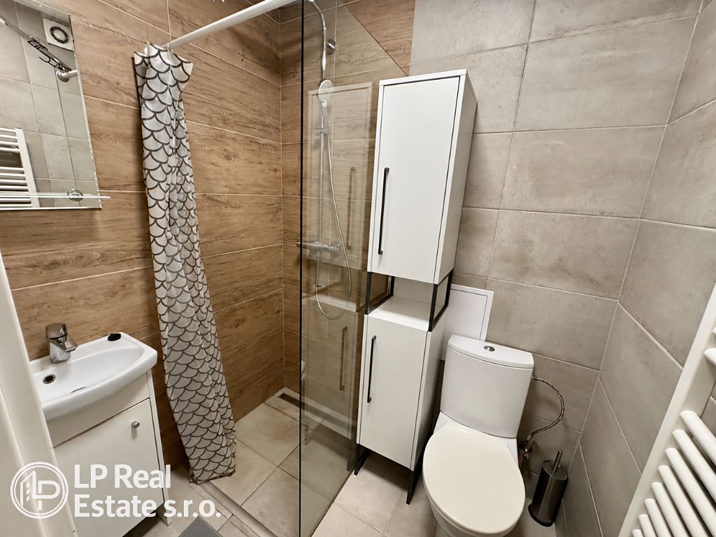 Pronájem bytu 1+1 34 m² – fotografie 4