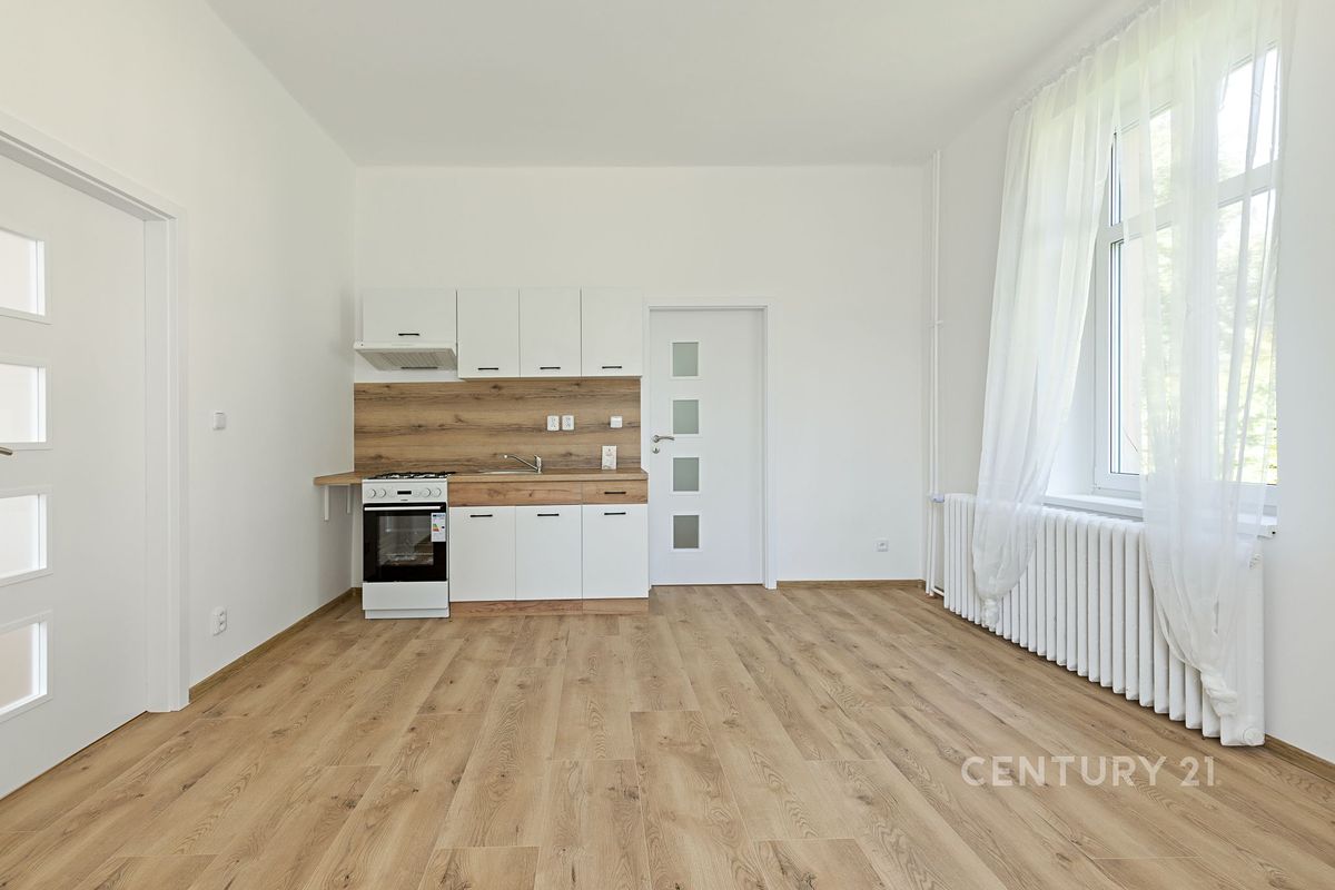 Pronájem bytu 2+kk 48 m² – fotografie 4