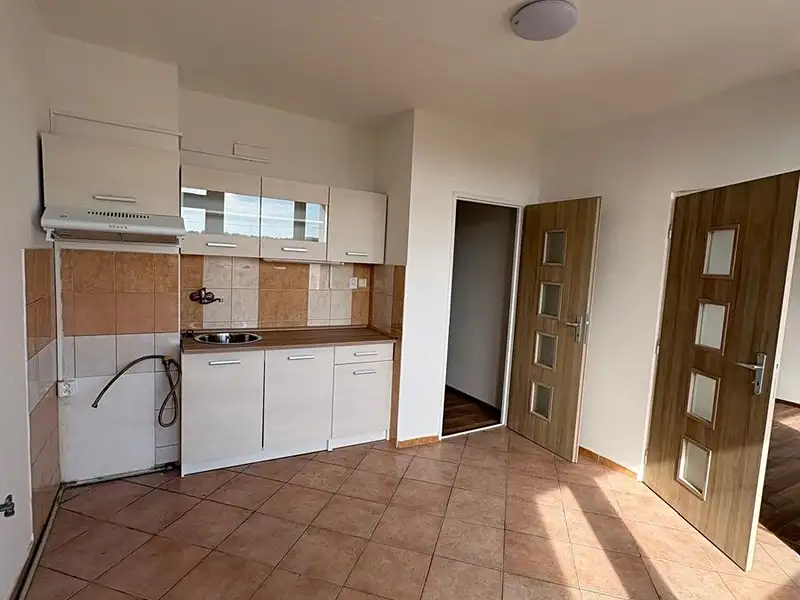 Pronájem bytu 1+1 54 m², Bílina – náhled fotky 1