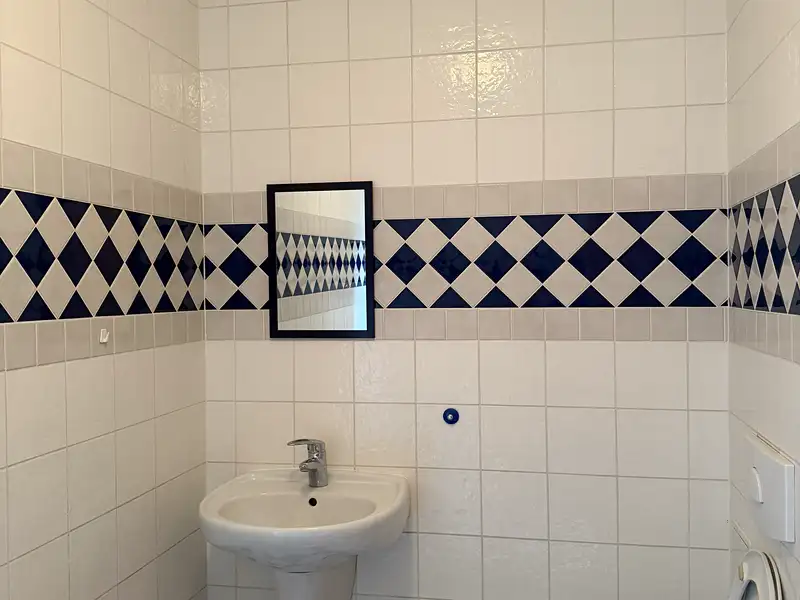Pronájem bytu 4+1 205 m², Praha – náhled fotky 3