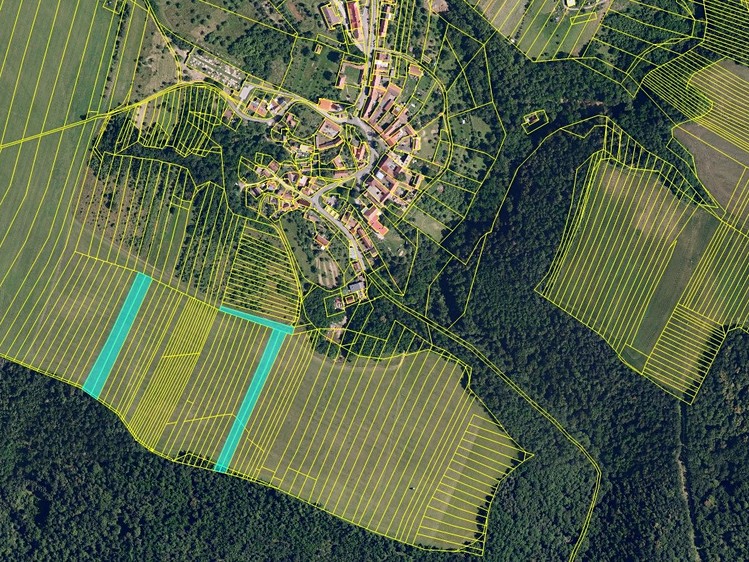 Ostatní