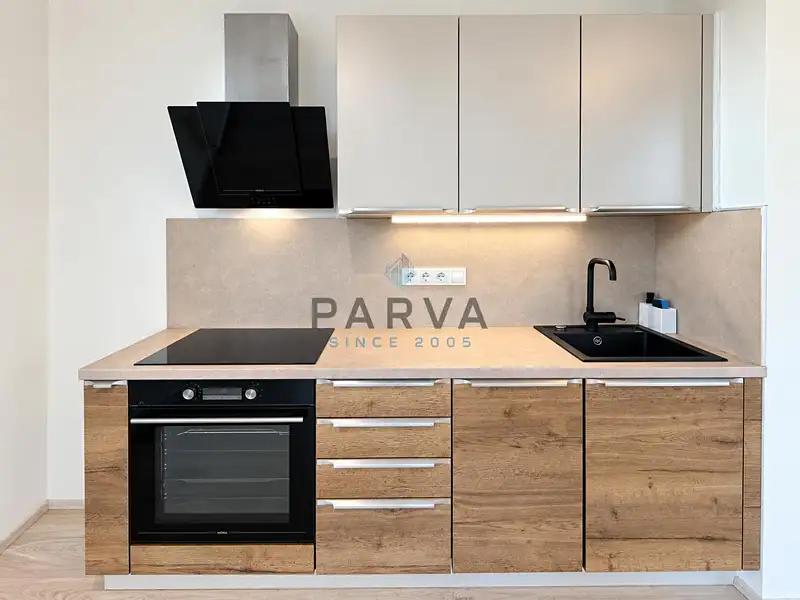 Pronájem bytu 1+kk 41 m², Plzeň – náhled fotky 2