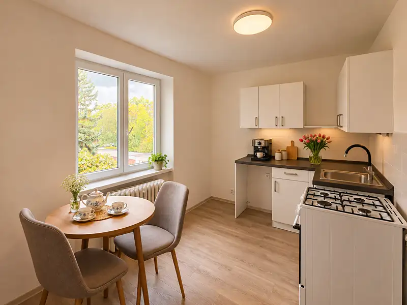 Pronájem bytu 1+1 30 m², Litvínov – náhled fotky 2