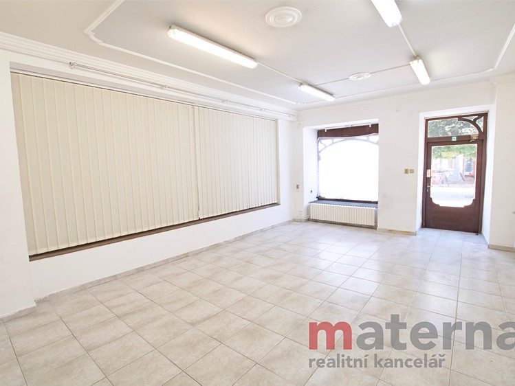 Prodej komerčního prostoru, 328 m² (6 z 34)