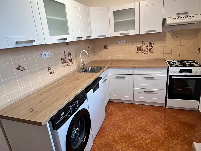 Pronájem bytu 3+1 60 m², Planá – náhled fotky 1
