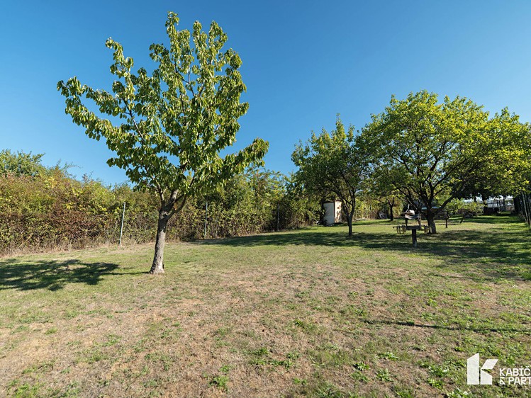 Ostatní