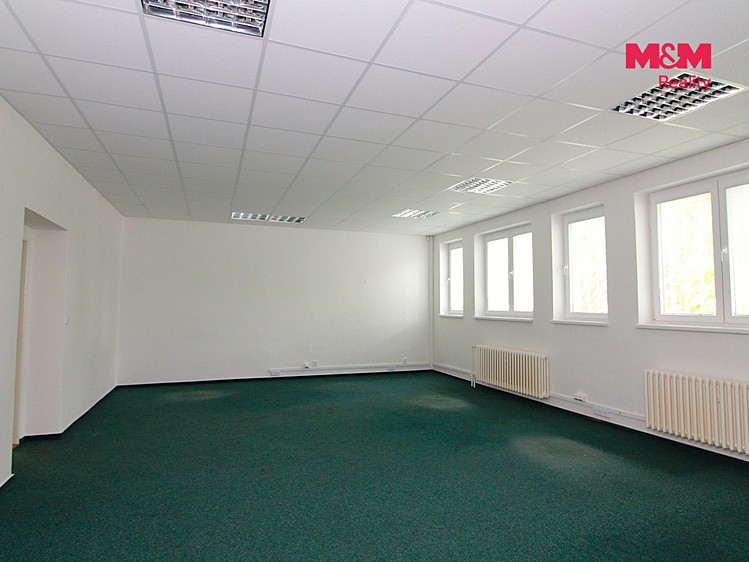 Комерційне приміщення в оренду, 215 м² (6 з 24)