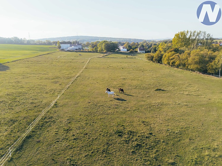 Gewerbefläche zum Kauf, 200 m² (5 von 42)