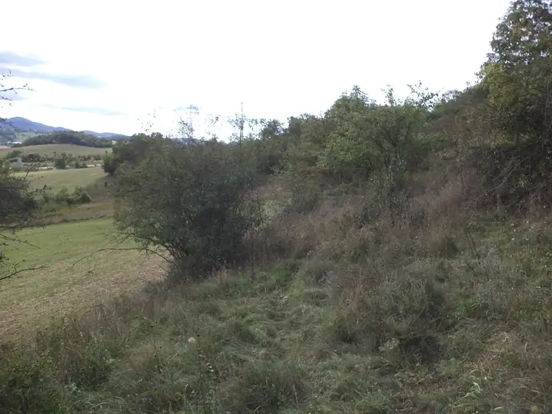 Dražba louky 22441 m², Řehlovice – náhled fotky 3
