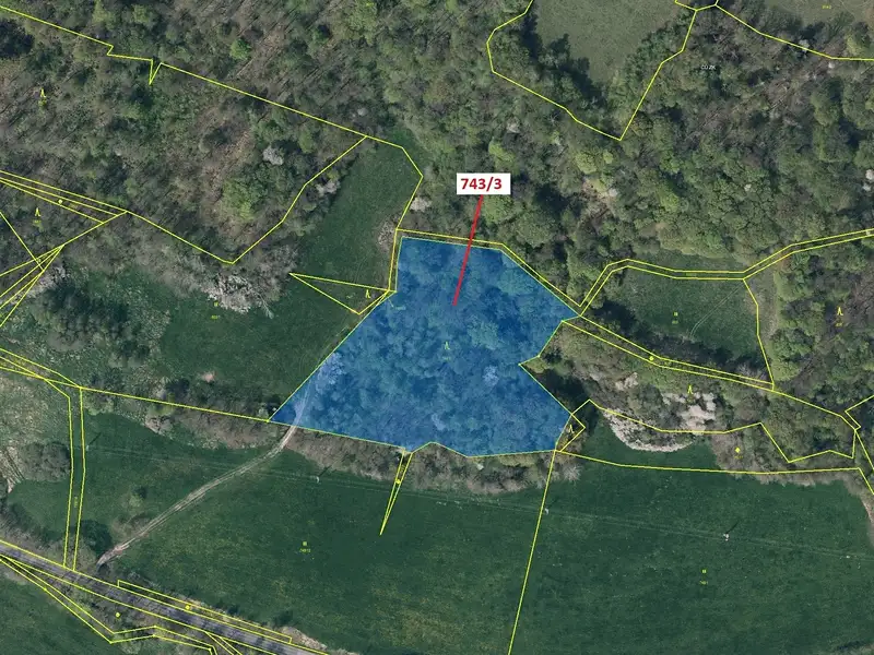 Dražba lesa 12778 m², Česká Kamenice – náhled fotky 2
