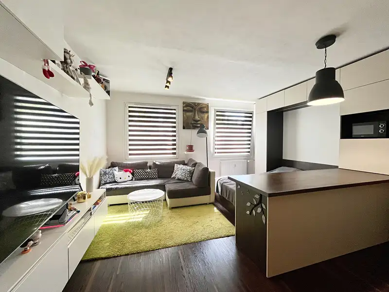 Pronájem bytu 1+kk 31 m², Plzeň – náhled fotky 2