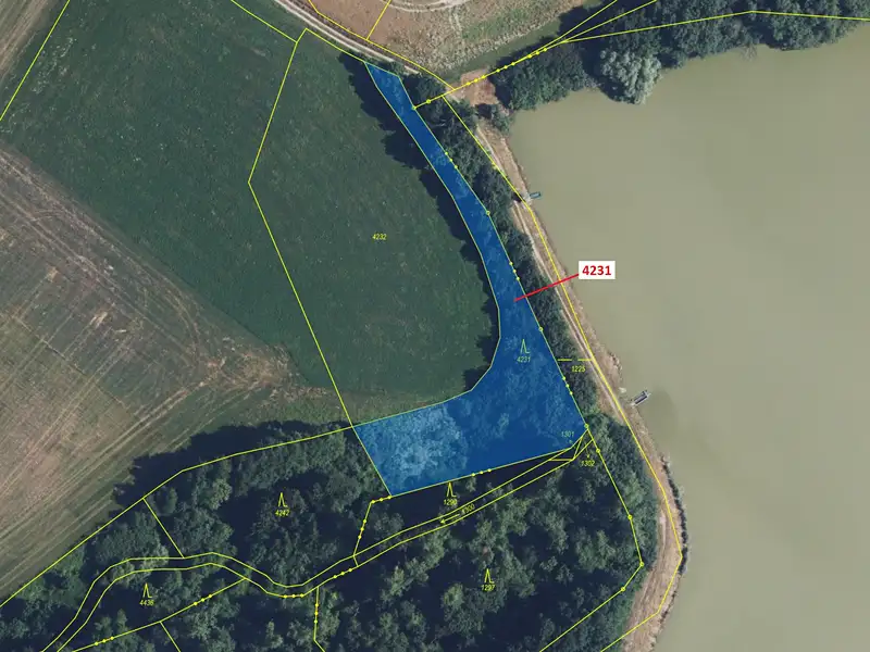 Dražba lesa 2407 m², Dobříkov – náhled fotky 2