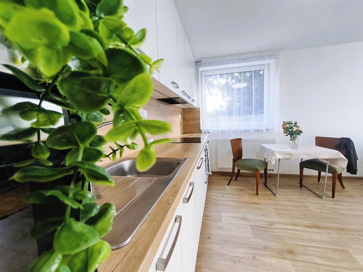 Pronájem rodinného domu 200 m², pozemek 1723 m², Vyškov – fotka 1 z 3