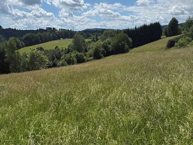 Prodej stavebního pozemku 7359 m², Hrádek – náhled fotky 3