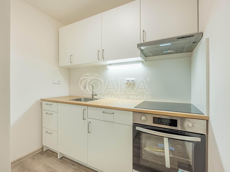Pronájem bytu 2+1, 55 m² (3 z 22)