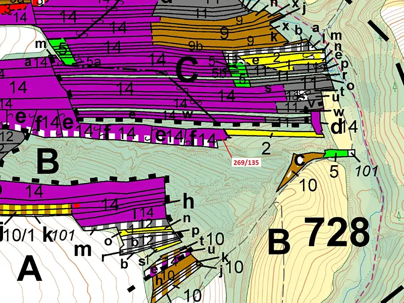 Dražba lesa 2783 m², Břežany – náhled fotky 3
