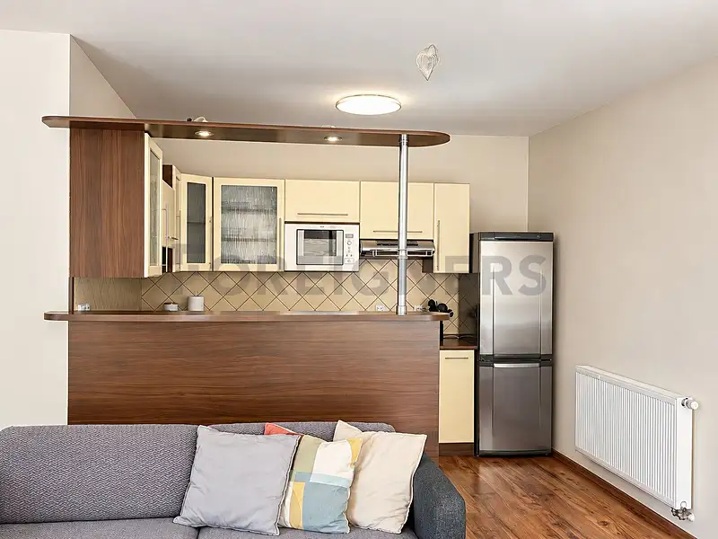 Pronájem bytu 2+kk 66 m², Plzeň – náhled fotky 3
