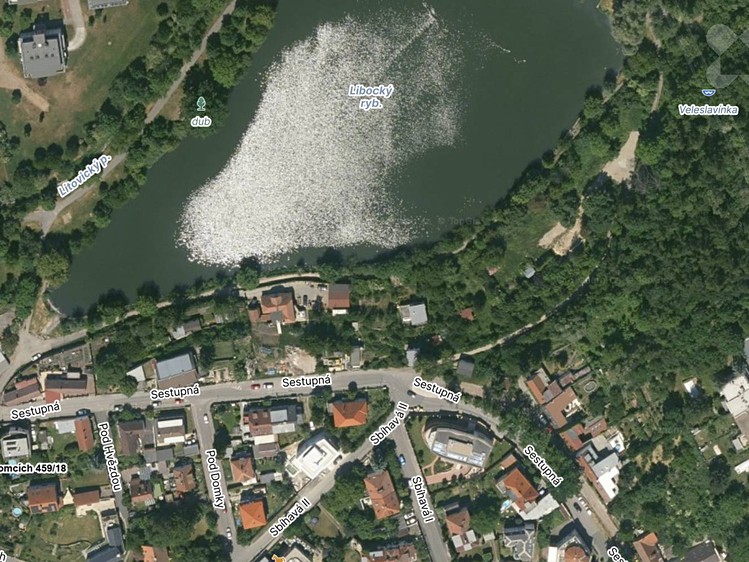 Будинок на продаж, 260 м² (4 з 33)