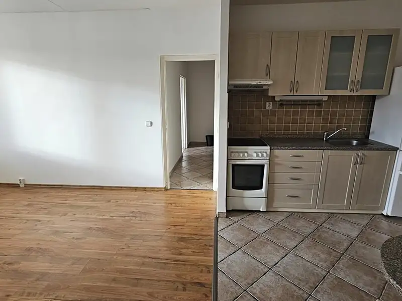 Prodej bytu 2+kk 49 m², Brno – náhled fotky 3