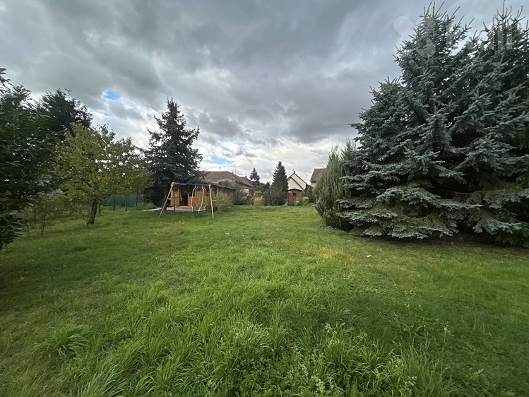 Ділянка в оренду, 650 м² (13 з 18)
