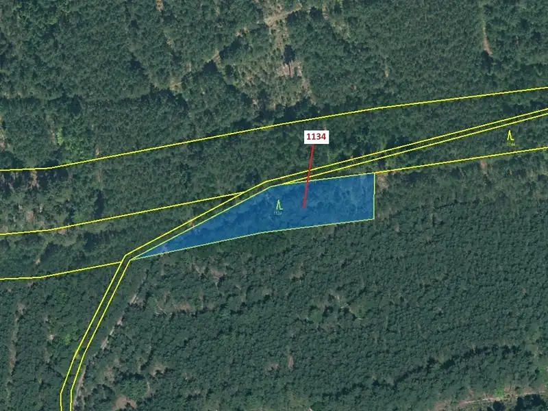 Dražba lesa 1636 m², Jesenice – náhled fotky 2