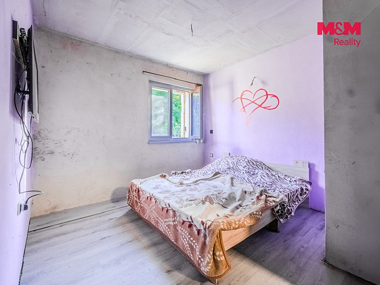 Prodej domu, 700 m² (13 z 30)