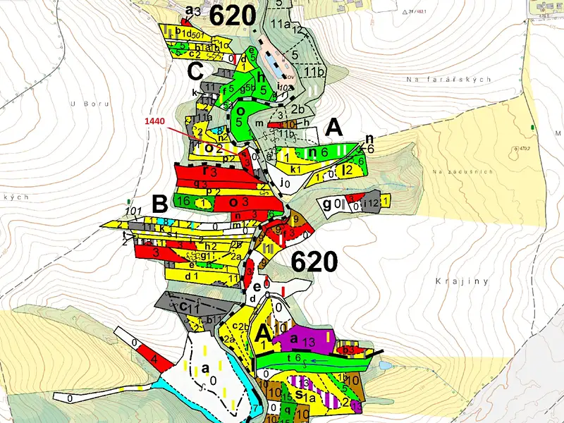 Dražba lesa 1097 m², Dražice – náhled fotky 3