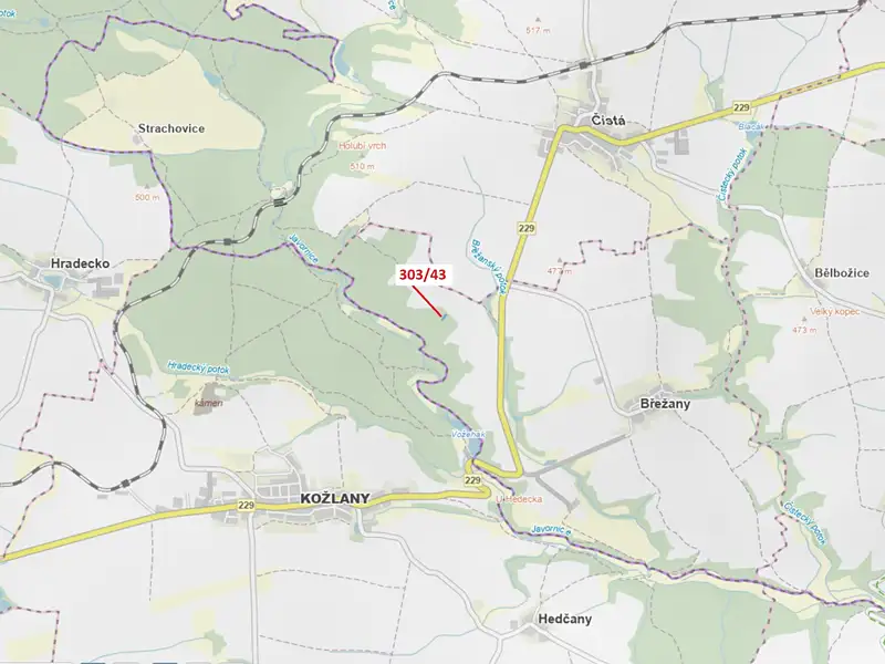 Dražba lesa 995 m², Břežany – náhled fotky 1