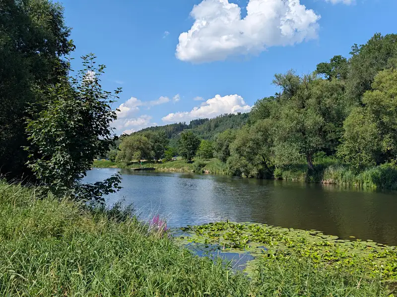 Prodej zahrady 642 m², Nadryby – náhled fotky 1