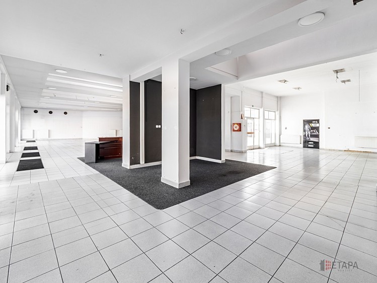 Prodej komerčního prostoru, 902 m² (8 z 25)