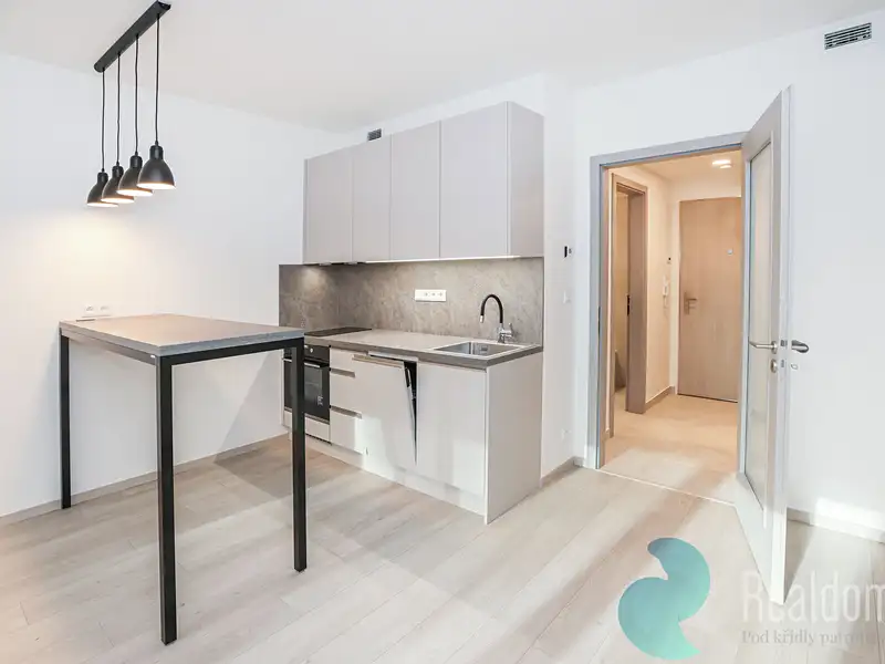 Pronájem bytu 1+kk 32 m², Praha – náhled fotky 1
