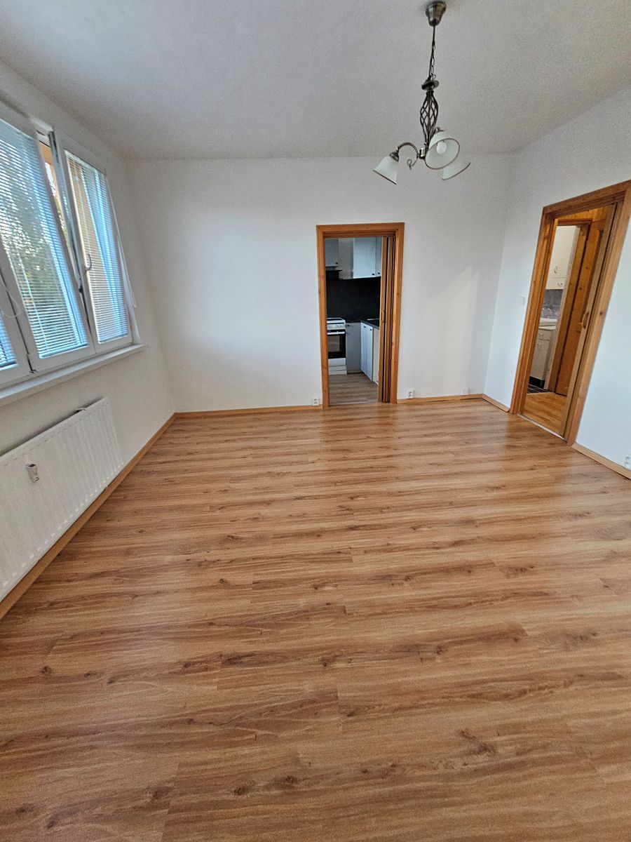 Pronájem bytu 2+1 43 m² – fotografie 4