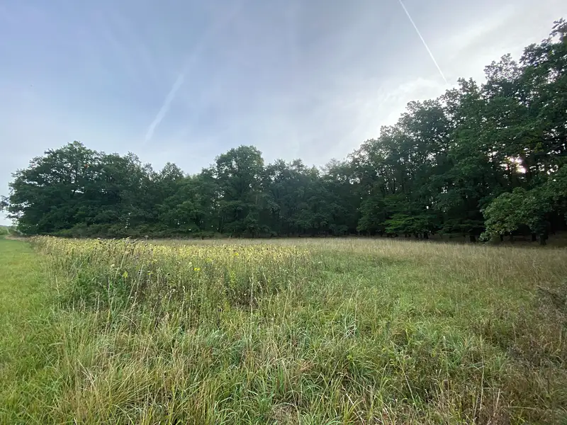 Prodej louky 2972 m², Ostřetín – náhled fotky 2