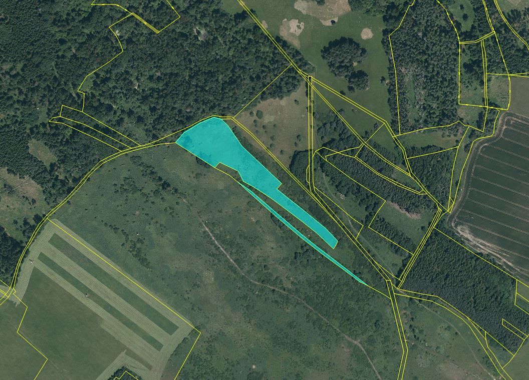Dražba pozemku 17271 m², Černošín – fotka 1 z 3