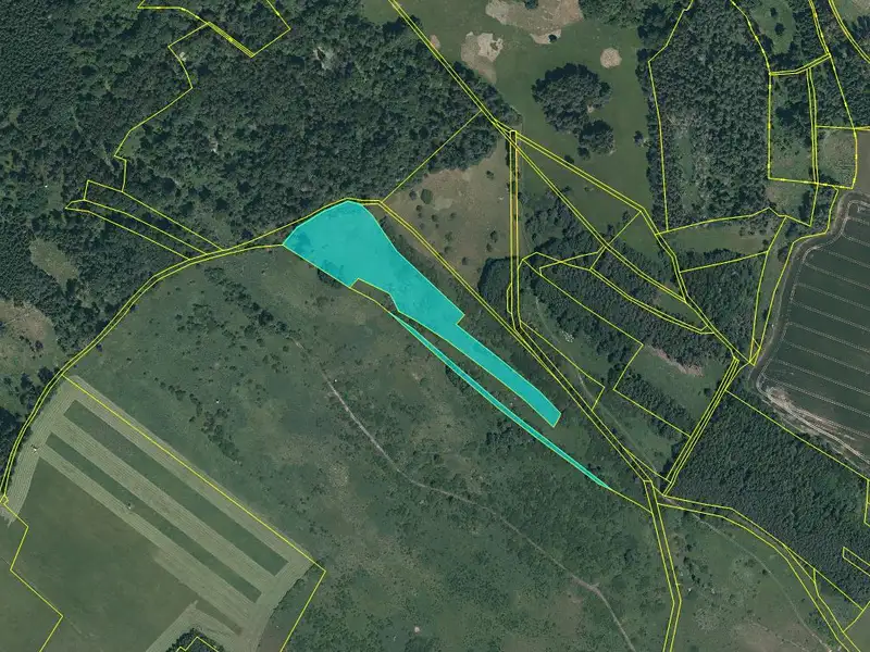 Dražba pozemku 17271 m², Černošín – náhled fotky 1