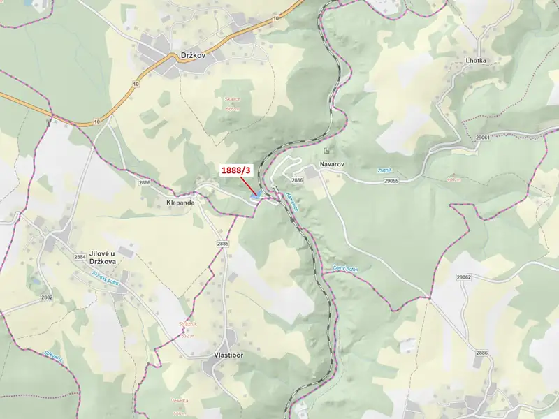 Dražba lesa 3360 m², Držkov – náhled fotky 1