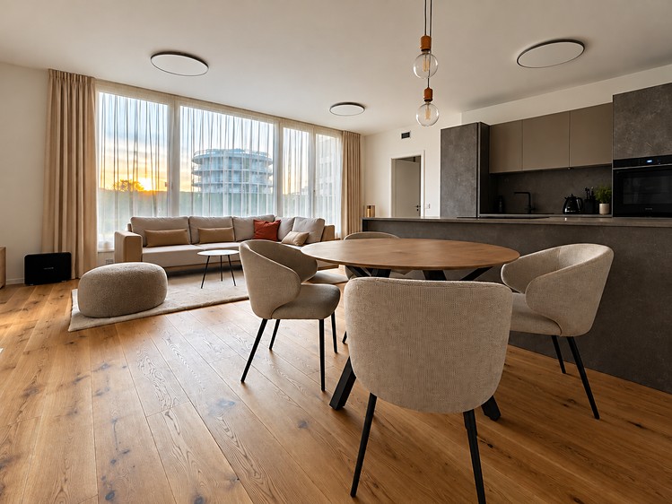 Pronájem bytu 4+kk, 119 m² (12 z 33)