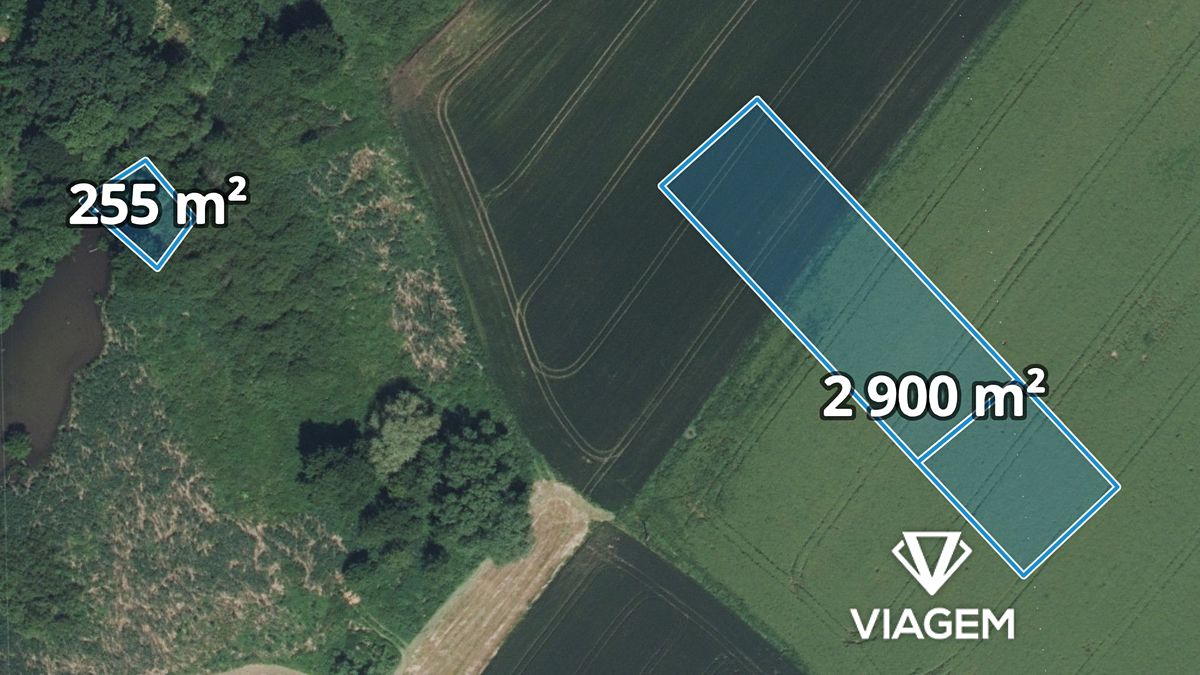 Prodej pole 3155 m², Ptýrov – fotka 1 z 3