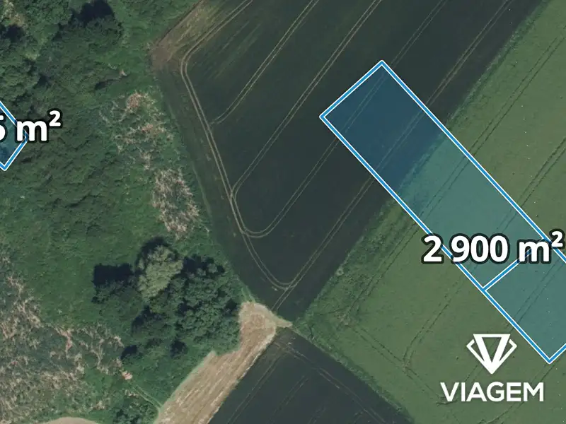 Prodej pole 3155 m², Ptýrov, okres Mladá Boleslav
