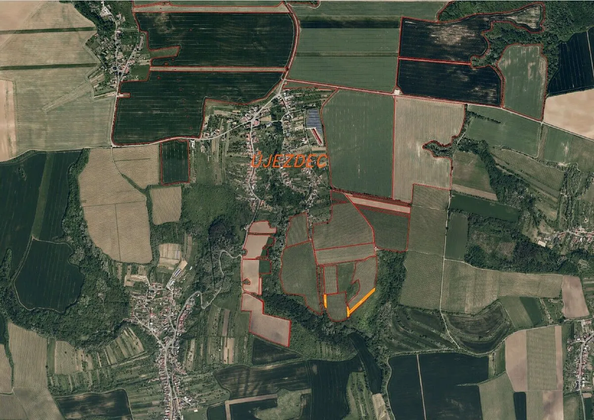 Fotka 8 z 9