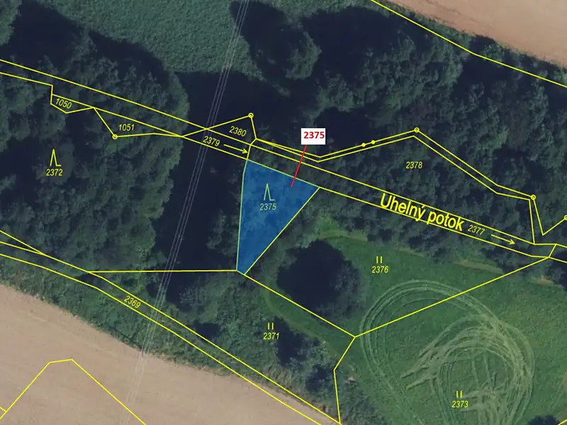 Dražba lesa 303 m², Březiny – náhled fotky 2