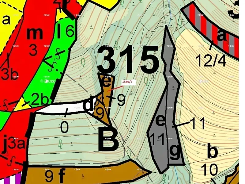 Dražba lesa 910 m², Hovězí – náhled fotky 2